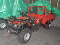 Quad 300CC 4x4 tout-terrain pour adultes, véhicule agricole, buggy des dunes, modèle de moto tout-terrain
