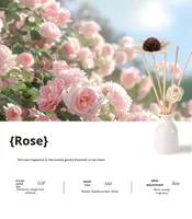 Diffuseur de parfum d'ambiance en céramique sans BPA, écologique, pour huiles essentielles, 30 ml – Meilleure vente