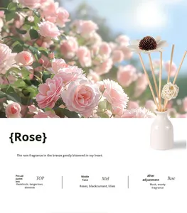 Hot Selling Eco-Friendly BPA Free Ceramic Bottle Household Scent Essential Oil Air Freshener Aromatherapy Reed <strong>Diffuser</strong> 30ml - Product Image 6