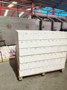 Hiệu suất cao Corundum gạch (Al2O3 90-99%) <span class=keywords><strong>refractoriness</strong></span> cao cấp (1770c-2000c) tùy chỉnh cắt/Hàn dịch vụ bao gồm - Product Image 5