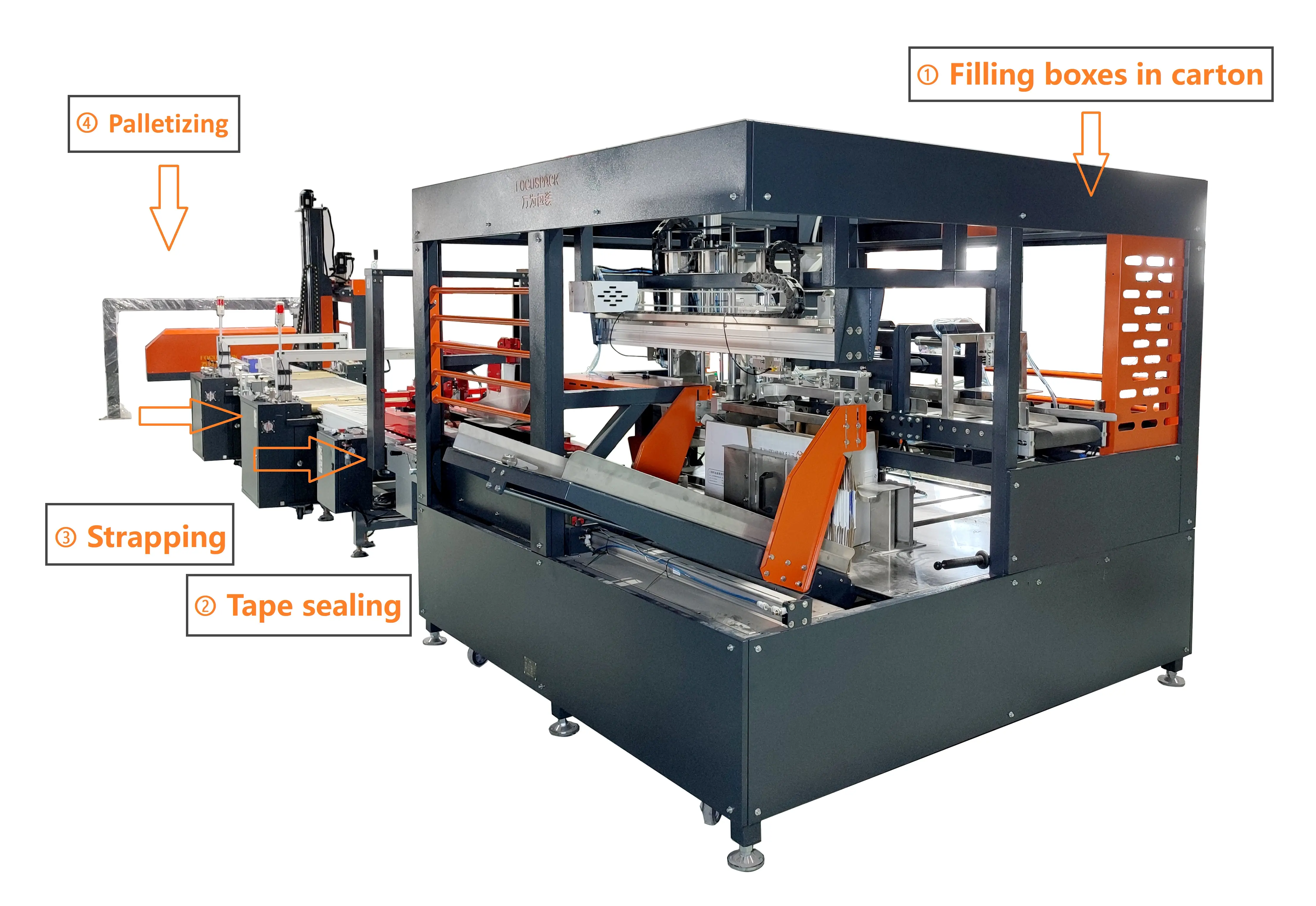 Máquina de embalaje de cajas, máquina de embalaje de cajas de cartón, línea de embalaje de cartón automática, maquinaria Focus