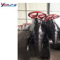 Penjualan pabrik Manual Flanged katup gerbang besi cor produk Harga kompetitif