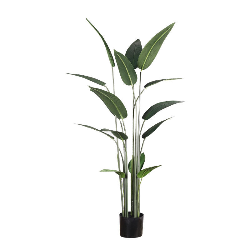 นกฟ้าสวรรค์ 1.4 เมตร