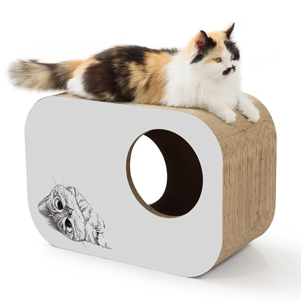 Rumah kardus dengan penggaruk kucing kotak kardus papan garuk kucing untuk kucing dalam ruangan