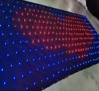 Rideau lumineux LED matriciel 2026 en promotion avec blanc chaud et bleu pour événements de parcs à thème