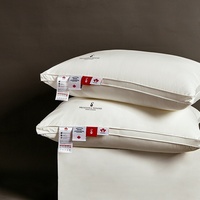 Oreiller en plumes d'oie rectangulaire de qualité supérieure, respirant, avec sac sous vide, garnissage doux, OEM pour hôtels haut de gamme