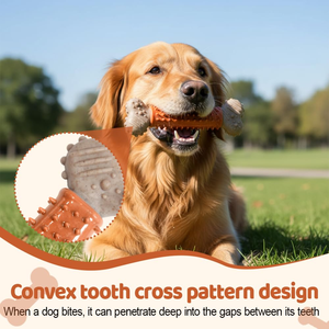 Fabricante Mayorista de Productos para Mascotas, Juguete Masticable para Perros de TPR en Forma de Hueso, Duradero - Product Image 3