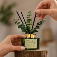 Diffuseur de parfum d'ambiance haut de gamme TopOne longue durée 90 jours, menthe sauvage et eucalyptus, pour spa, chambre et décoration
