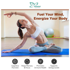 Werks anpassung Pilz kapseln unterstützen die kognitive Funktion Immunsystem Gemischtes Tonikum mehrerer Pilze - Product Image 6