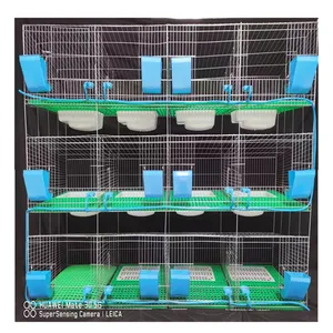 rabbit cage Factory China Layer welded rabbit cage wire mesh