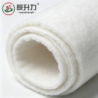 Géotextile à filament continu WSL 320g pour le drainage et la filtration des sous-drainages ferroviaires et le traitement des sols molles des autoroutes