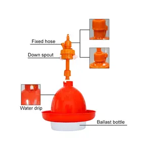 Save Breeding Expenses Automatic Fountain Ballast Bottle Poultry Hanging Automatic Waterer / Drinker