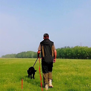 Traje Protector Portátil Antimordeduras para Entrenamiento de Adiestradores de Mascotas, Chaleco para Entrenamiento de Perros, Conjunto de Collar para Perros - Product Image 3