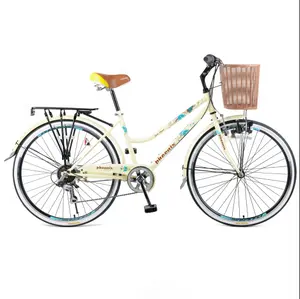 Phoenix Customized Hot Selling Wholesale Retro Popular Women's City Bicycles Adult Bicycles