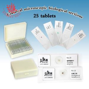 Material Escolar 25 Piezas Botánica General y Zoología Diapositivas Preparadas - Product Image 4