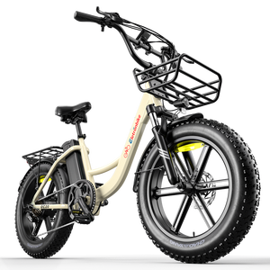 <span class=keywords><strong>Bicicleta</strong></span> <span class=keywords><strong>Eléctrica</strong></span> Urbana Ecológica de 250W, Neumáticos Gruesos 20*4.0, Batería de 48V 13Ah, Alcance de 100KM, Frenos Hidráulicos, para Adultos, con Certificación CE - Product Image 2