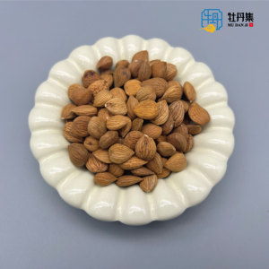 Giá tốt nhất tast Hữu Cơ <span class=keywords><strong>Apricot</strong></span> hạt đắng <span class=keywords><strong>Apricot</strong></span> hạt Nuts để bán - Product Image 2