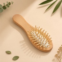 Sisir Rambut Mini OEM dari Bambu Kayu dengan Bantalan Udara untuk Penggunaan di Hotel, Rumah Tangga, atau Sebagai Hadiah