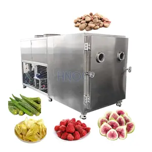 Small Laboratory Commercial Fruit Food Dry Freeze Drying Dried Coffee Machine Lyophilizer Price