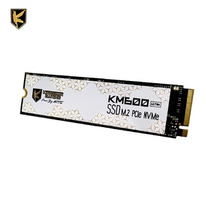 SSD Interno M2 de 256 GB PCIe Gen3X4 2280 con Disipador de Calor Delgado, 3300 MB/s de Lectura/3000 MB/s de Escritura, Garantía de 5 Años, SSD de 256 GB, SSD PCIe de 256 GB - Product Image 2