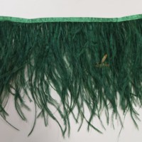 Frange de plumes d'autruche en gros, 15-18 cm, 2 plis, dentelle de plumes à coudre pour vêtements, robes, costumes, pyjamas, bricolage, artisanat, décoration