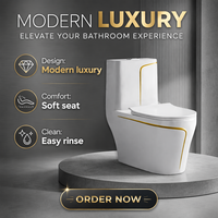 WC monobloc en céramique de luxe avec système de chasse double, finition dorée |   WC moderne pour hôtel et villa