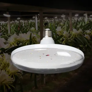 Plastica di alluminio sigillata all'aperto impermeabile serra <span class=keywords><strong>drago</strong></span> frutta fragola piantatura LED coltiva lampadina - Product Image 1