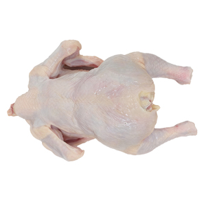 Pollo entero congelado del proveedor de fábrica de China limpiado sin residuos viscerales pechuga de pollo a precio barato - Product Image 2