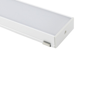 Lumière linéaire LED moderne à montage en surface, personnalisable en termes de puissance et de longueur, étanche <span class=keywords><strong>IP65</strong></span> pour l'éclairage <span class=keywords><strong>extérieur</strong></span> - Product Image 4