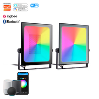 Tuya Smart IP65 Étanche 20W 50W 80W Extérieur RGB Projecteur Dimmable Télécommande Projecteur
