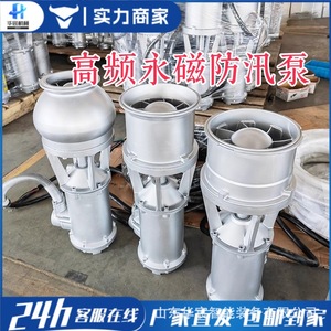 Bomba Sumergible de Flujo Axial de Acero Inoxidable, Portátil, de Flujo Grande, para Control de Inundaciones con Frecuencia Variable Magnética, para Emergencias - Product Image 2