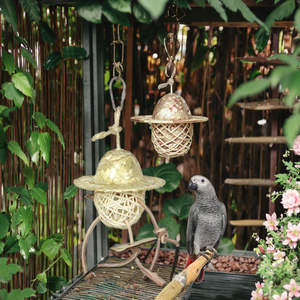 Suministros <span class=keywords><strong>de</strong></span> aves naturales al por mayor, forraje <span class=keywords><strong>de</strong></span> bambú <span class=keywords><strong>de</strong></span> ratán estrella, masticable juguete para conejos, cobayas, chinchillas, pájaros a buen precio - Product Image 1