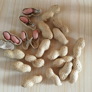 Arachides brutes de qualité supérieure, transformées, biologiques, séchées et bouillies surgelées, les plus vendues, pour la vente en gros - Product Image 5