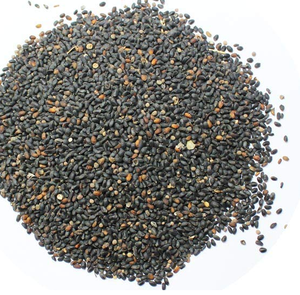 Graines de Kali Tulsi biologiques, basilic sacré, cultivé, qualité alimentaire, séché, provenant de Maharashtra - Product Image 1