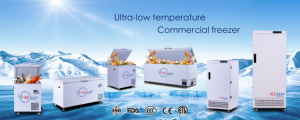 Vente Flash - Congélateur coffre ULT -65 degrés Prix usine pour stockage alimentaire DW-65W1000 Congélateur coffre DW-65W1000 - Product Image 4