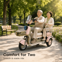 Scooter à trois roues motorisé NEUF, moteur différentiel 500W, roues en fer, vente en gros, export, 48V 60V, tricycle adulte
