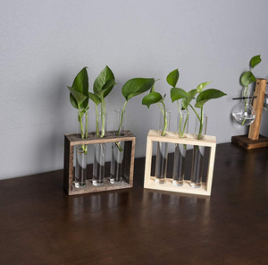 Hot Glass Planter Propagation Station Desktop Plant Terrarium With Wooden <b>Stand</b> Test Tube Flower Bud Vase for Office Decor - Product Image 4