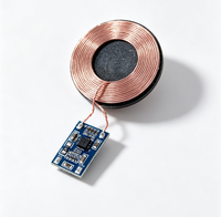 Module récepteur de charge sans fil RX01 OEM, sortie 5V 1A, pour carte de chargeur sans fil, pour appareil portable, pour étui d'écouteurs