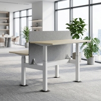 Bureau debout intelligent, bureau d'ordinateur électrique réglable en hauteur, bureau ergonomique électrique pour l'école et les bureaux à domicile
