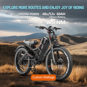 Vélo électrique Eahora Romeo Pro personnalisable avec moteur puissant 2*120n-M 48v 60ah, batterie grande capacité, cadre en acier, modèle Mountain Romeo Romeo R - Product Image 6