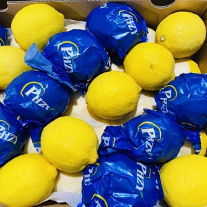 Trung Quốc Chất lượng cao Juicy chua chanh - Product Image 2