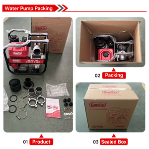 <span class=keywords><strong>Pompe</strong></span> à eau à piston à <span class=keywords><strong>essence</strong></span> 7,5 CV 212 CC haute pression pour l'irrigation agricole en ferme au Brésil - Product Image 3