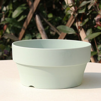 Pot de cactus et succulentes avec soucoupe pour présentoirs de fleurs de jardin Pots de fleurs et jardinières de qualité supérieure