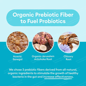 Cápsulas de Probióticos <span class=keywords><strong>OEM</strong></span> 60 Mil Millones de UFC Prebióticos Mejoran la Inmunidad Salud Digestiva Intestinal Suplemento para Adultos para Mujeres y Hombres - Product Image 2