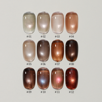 Vinimay Maillard Gel Effet Œil de Chat Tendances Automne 12 Couleurs Kit de Vernis Gel Effet Œil de Chat Haut de Gamme Fournitures pour Ongles OEM/ODM Marque Privée