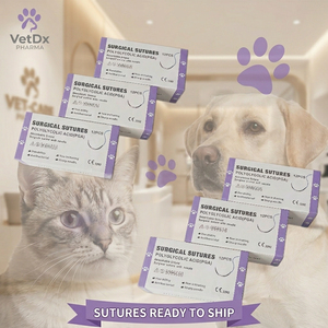 Suturas Quirúrgicas Veterinarias Absorbibles y Estériles de Polidioxanona <span class=keywords><strong>PDS</strong></span>, Poliglactina 910 PDO y Vicryl, Aprobadas por CE e ISO, con Aguja - Product Image 5