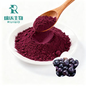 純粋な自然アントシアニンブルーベリーエキス真空パックビルベリーパウダーHPLCテスト済みハーバルフルーツエキス食品成分 - Product Image 3
