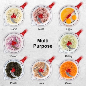 Nouveauté 2025 : Hachoir <span class=keywords><strong>manuel</strong></span> en acier inoxydable pour légumes et fruits, coupe-pommes de terre et râpe - Product Image 2