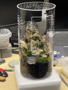 Hot Sale Cylindrical Reptile <b>Terrarium</b> Front Door Jumping Spider <b>Tortoise</b> Breeding Box for Pet Lovers - Product Image 3