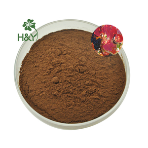 Polvo <span class=keywords><strong>de</strong></span> <span class=keywords><strong>hoja</strong></span> <span class=keywords><strong>de</strong></span> <span class=keywords><strong>vid</strong></span> <span class=keywords><strong>roja</strong></span>, <span class=keywords><strong>extracto</strong></span> <span class=keywords><strong>de</strong></span> <span class=keywords><strong>hoja</strong></span> <span class=keywords><strong>de</strong></span> <span class=keywords><strong>vid</strong></span> <span class=keywords><strong>roja</strong></span> <span class=keywords><strong>de</strong></span> alta calidad, venta al por mayor - Product Image 1